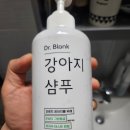 🐶 [강아지 샴푸 추천] Dr. Blank 올인원 샴푸 솔직 후기 (EWG 그린등급, 저자극, 베이비파우더향...
