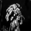 가치인력 - 10982 | 가치인력