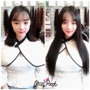 미쓰박 펫 살롱 | 1:1 커스텀 시술 전문 대전붙임머리 미쓰박