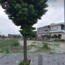 부산엄궁뚜레쥬르 네이버블로그