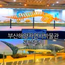 온천1동-13 | 부산 해양자연사박물관 아이랑 실내 가볼만한곳 전시 추천