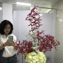 양재화훼공판장 화장실 이미지