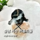 버블리 풀