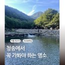 청송얼음골힐링민박 | 여름 피서지 강추! 경북 청송 얼음골 계곡 완벽 정복