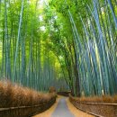 동경기획 이미지