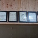 명지 검도관 이미지