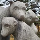 백제행정사사무소 네이버블로그