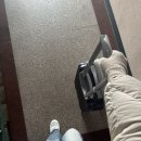 사랑각게스트하우스 | 겨울 제주도 여자 혼자 뚜벅이 3박 4일 여행 일정_사랑각게스트하우스, 회춘, 백록집 (1)