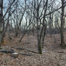 내곡동427 이미지