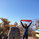 경북청과 이미지