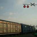 솔바람 파도소리 이미지