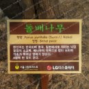 미래를 조각하는 레이저커팅기A | 똑똑하게 알아보자 나무간판