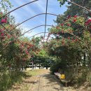 문장로-14 이미지