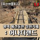 어나더랜드 | 평택 애견동반 정원 카페 : 어나더랜드