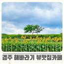 보불로(동) 네이버블로그