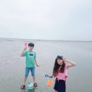임다방 이미지