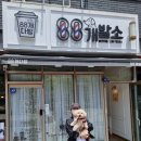 88개발소 이미지