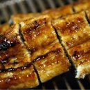 꼼장어네 이미지