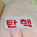시글 이미지