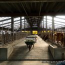 백운한우농장 이미지