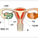 스마트지식in 이미지