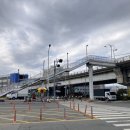 구포만세거리 주차장 | 화명생태공원 수선화 실시간 개화상황 대저 벚꽃 구경 후 구포대교 건너본 후기