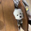 (주)온전히 이미지