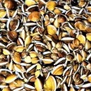 섬진강재첩국 이미지