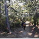 양지암등대길 이미지