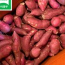 금호1농장 이미지