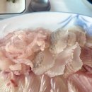 청풍횟집 | [맛집] 묵호 횟집 추천! 바다 바로 앞 '청풍횟집' 내돈내산 후기!