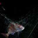 너울펜션 이미지