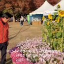 아산시 신정호 아트벨리 국화축제 이미지