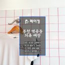 우아한 로미 이미지