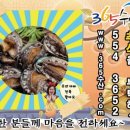 로켓박스365