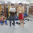 링 종합격투기 이미지