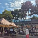 월횡경로당 | 예산 여행 가볼만한 곳 데이트로 가족 나들이로도 좋아요 예당호 모노레일 그리고 출렁다리