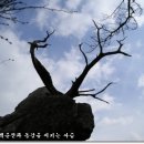 습관도 습관이다 이미지