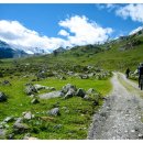 벵가스테이 이미지