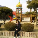 당포초등학교 이미지