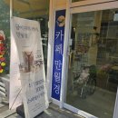 카페만월경 동탄반송점