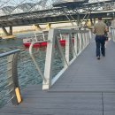 버드레인 | 20250212 / 싱가포르 만다린오리엔탈조식 / 버드파라다이스 / 워터B 리버크루즈 / 창이공항 주얼 후기