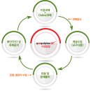구골플렉스
