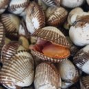 벌교택배 이미지