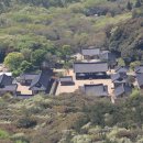 땅끝 남도의 향기 이미지