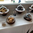 카페(cafe) 돌코롱 이미지