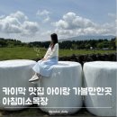 아침목장 | [제주] 카이막 맛집 아이랑 가볼만한곳 아침미소목장 내돈내산 방문후기