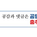 조은 꼬기 이미지