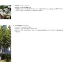 부산체육고등학교 | (특목고/체육고) 부산체육고등학교 2026 신입생 입학안내, 학교안내