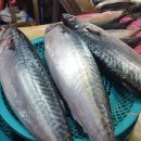 죽도마트 이미지